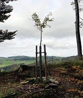 13. Oktober 2012 - es ist Herbst geworden auf der Landmark